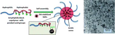 Graphical abstract: Enhanced encapsulation of superparamagnetic Fe3O4 in acidic core-containing micelles for magnetic resonance imaging