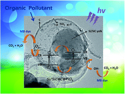 Graphical abstract: Facile preparation of yolk–shell structured Si/SiC@C@TiO2 nanocomposites as highly efficient photocatalysts for degrading organic dye in wastewater