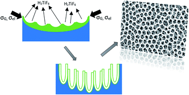 Graphical abstract: Self-ordering dual-layered honeycomb nanotubular titania: a study in formation mechanisms