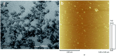 Graphical abstract: Nano-fluid loss agent based on an acrylamide based copolymer “grafted” on a modified silica surface