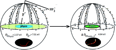 Graphical abstract: In vivo detection of fluoride at trace levels and its removal from raw water at neutral pH utilizing a cyanobacterium pigment as a luminescent probe