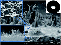 Graphical abstract: Mechanically stable superhydrophobic polymer films by a simple hot press lamination and peeling process