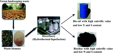Graphical abstract: Bio-oil production from eight selected green landscaping wastes through hydrothermal liquefaction