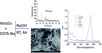 Graphical abstract: A facile one-pot synthesis of three-dimensional microflower birnessite (δ-MnO2) and its efficient oxidative degradation of rhodamine B