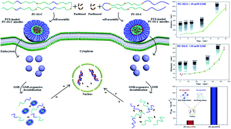 Graphical abstract: Biodegradable multi-blocked polyurethane micelles for intracellular drug delivery: the effect of disulfide location on the drug release profile