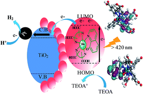 Graphical abstract: Shedding light on hydroxyquinoline-based ruthenium sensitizers with a long-lived charge carrier to boost photocatalytic H2 evolution