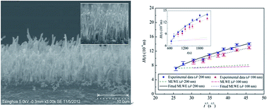 Graphical abstract: Capillary filling dynamics of polymer melts in nanopores: experiments and rheological modelling