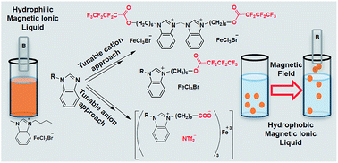 Graphical abstract: Synthesis and characterization of the physicochemical and magnetic properties for perfluoroalkyl ester and Fe(iii) carboxylate-based hydrophobic magnetic ionic liquids