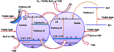 Graphical abstract: Three way electron transfer of a C–N–S tri doped two-phase junction of TiO2 nanoparticles for efficient visible light photocatalytic dye degradation