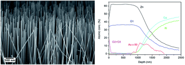Graphical abstract: Vapour phase nucleation of ZnO nanowires on GaN: growth habit, interface study and optical properties