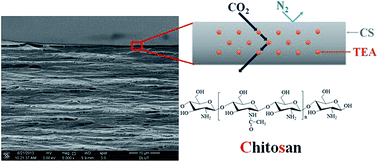 Graphical abstract: TEA incorporated CS blend composite membrane for high CO2 separation performance