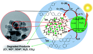 Graphical abstract: Sunlight assisted degradation of dye molecules and reduction of toxic Cr(vi) in aqueous medium using magnetically recoverable Fe3O4/reduced graphene oxide nanocomposite
