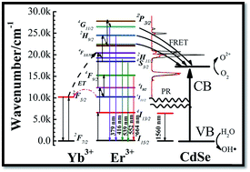 Graphical abstract: Photocatalysis of NaYF4:Yb,Er/CdSe composites under 1560 nm laser excitation