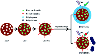 Graphical abstract: Functionalized mesoporous silica nanoparticles as a catalyst to synthesize a luminescent polymer/silica nanocomposite