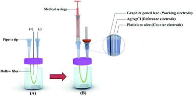 Graphical abstract: Electrically stimulated liquid phase microextraction combined with differential pulse voltammetry: a new and efficient design for in situ determination of clozapine from complicated matrices