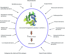 Graphical abstract: Chemistry and biology of microsomal prostaglandin E2 synthase-1 (mPGES-1) inhibitors as novel anti-inflammatory agents: recent developments and current status