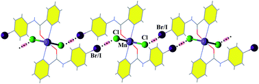 Graphical abstract: The role of intermolecular interactions involving halogens in the supramolecular architecture of a series of Mn(ii) coordination compounds