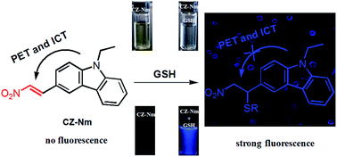 Graphical abstract: A “turn-on” fluorescent probe used for the specific recognition of intracellular GSH and its application in bioimaging