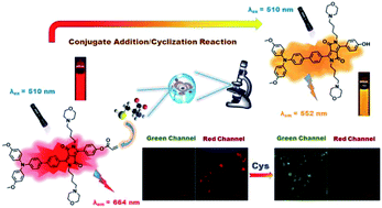 Graphical abstract: Diketopyrrolopyrrole-based ratiometric fluorescent probe for the sensitive and selective detection of cysteine over homocysteine and glutathione in living cells