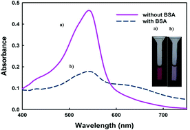 Graphical abstract: A time-insensitive colorimetric sensor for the determination of total protein