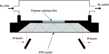 Graphical abstract: Determination of concentration-dependent diffusion coefficient of seven solvents in polystyrene systems using FTIR-ATR technique: experimental and mathematical studies