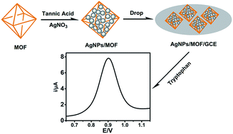 Graphical abstract: A novel electrochemical sensor of tryptophan based on silver nanoparticles/metal–organic framework composite modified glassy carbon electrode