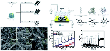 Graphical abstract: One-pot synthesis of multidimensional conducting polymer nanotubes for superior performance field-effect transistor-type carcinoembryonic antigen biosensors