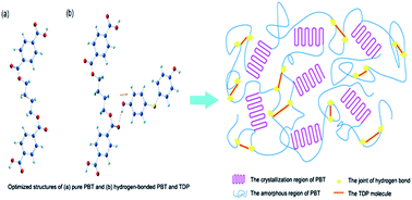 Graphical abstract: A study on mediating the crystallization behavior of PBT through intermolecular hydrogen-bonding