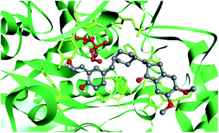 Graphical abstract: Synthesis and in vitro evaluation of donepezil-based reactivators and analogues for nerve agent-inhibited human acetylcholinesterase