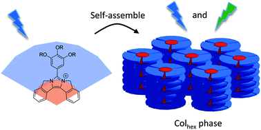 Graphical abstract: Fused π-conjugated imidazolium liquid crystals: synthesis, self-organization, and fluorescence properties