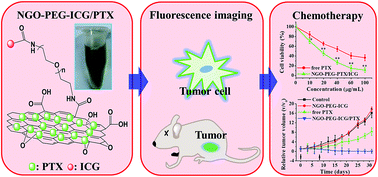 Graphical abstract: Co-delivery of paclitaxel and indocyanine green by PEGylated graphene oxide: a potential integrated nanoplatform for tumor theranostics