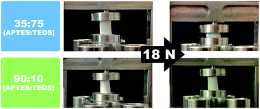 Graphical abstract: Tuning the structure and the mechanical properties of epoxy–silica sol–gel hybrid materials