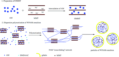 Graphical abstract: Study on the preparation of PAM/MMT W/W emulsion and its application as a flocculant