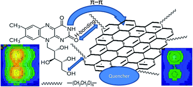 Graphical abstract: Determination of riboflavin based on fluorescence quenching by graphene dispersions in polyethylene glycol