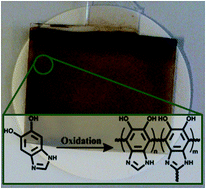 Graphical abstract: Expanding the aqueous-based redox-facilitated self-polymerization chemistry of catecholamines to 5,6-dihydroxy-1H-benzimidazole and its 2-substituted derivatives