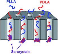 Graphical abstract: Stereocomplex poly(lactic acid) nanoparticles crystallized through nanoporous membranes and application as nucleating agent