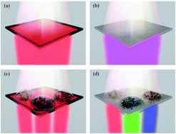 Graphical abstract: Geometric effects of nano-hole arrays for label free bio-detection