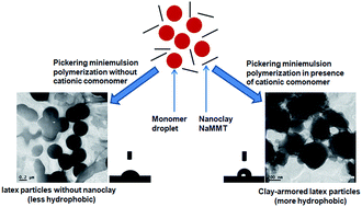 Graphical abstract: Nanoclay stabilized Pickering miniemulsion of fluorinated copolymer with improved hydrophobicity via RAFT polymerization