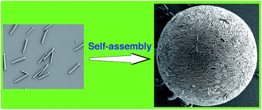 Graphical abstract: Colloidosome like structures: self-assembly of silica microrods