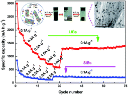 Graphical abstract: A facile synthesis of Fe3O4 nanoparticles/graphene for high-performance lithium/sodium-ion batteries