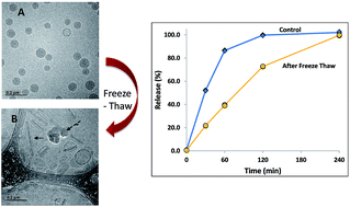 Graphical abstract: Formation of drug nanocrystals under nanoconfinement afforded by liposomes