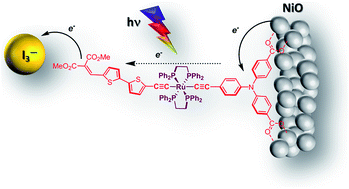 Graphical abstract: Push–pull ruthenium diacetylide complexes: new dyes for p-type dye-sensitized solar cells