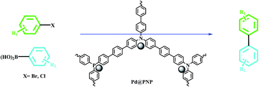 Graphical abstract: Immobilized palladium nanoparticles within polymers as active catalysts for Suzuki–Miyaura reaction