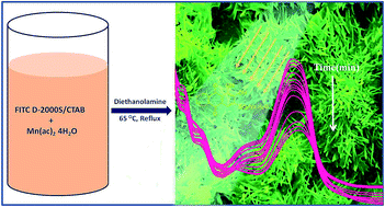 Graphical abstract: Soft-templated synthesis of Mn3O4 microdandelions for the degradation of alizarin red under visible light irradiation