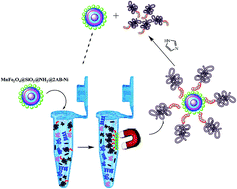 Graphical abstract: Fast and highly efficient purification of 6×histidine-tagged recombinant proteins by Ni-decorated MnFe2O4@SiO2@NH2@2AB as novel and efficient affinity adsorbent magnetic nanoparticles