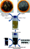 Graphical abstract: Facile synthesis of graphene using a biological method