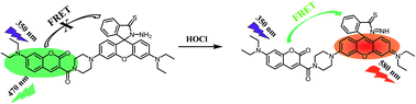 Graphical abstract: A ratiometric fluorescence sensor for HOCl based on a FRET platform and application in living cells