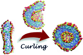 Graphical abstract: Vesicle formation of catanionic mixtures of CTAC/SDS induced by ratio: a coarse-grained molecular dynamic simulation study