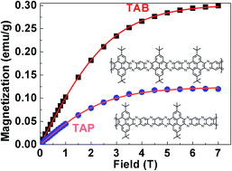 Graphical abstract: Magnetism of N-doped graphene nanoribbons with zigzag edges from bottom-up fabrication