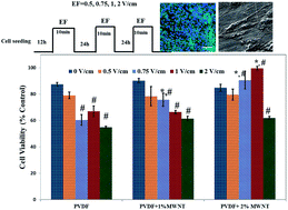 Graphical abstract: Synergistic effect of polymorphism, substrate conductivity and electric field stimulation towards enhancing muscle cell growth in vitro